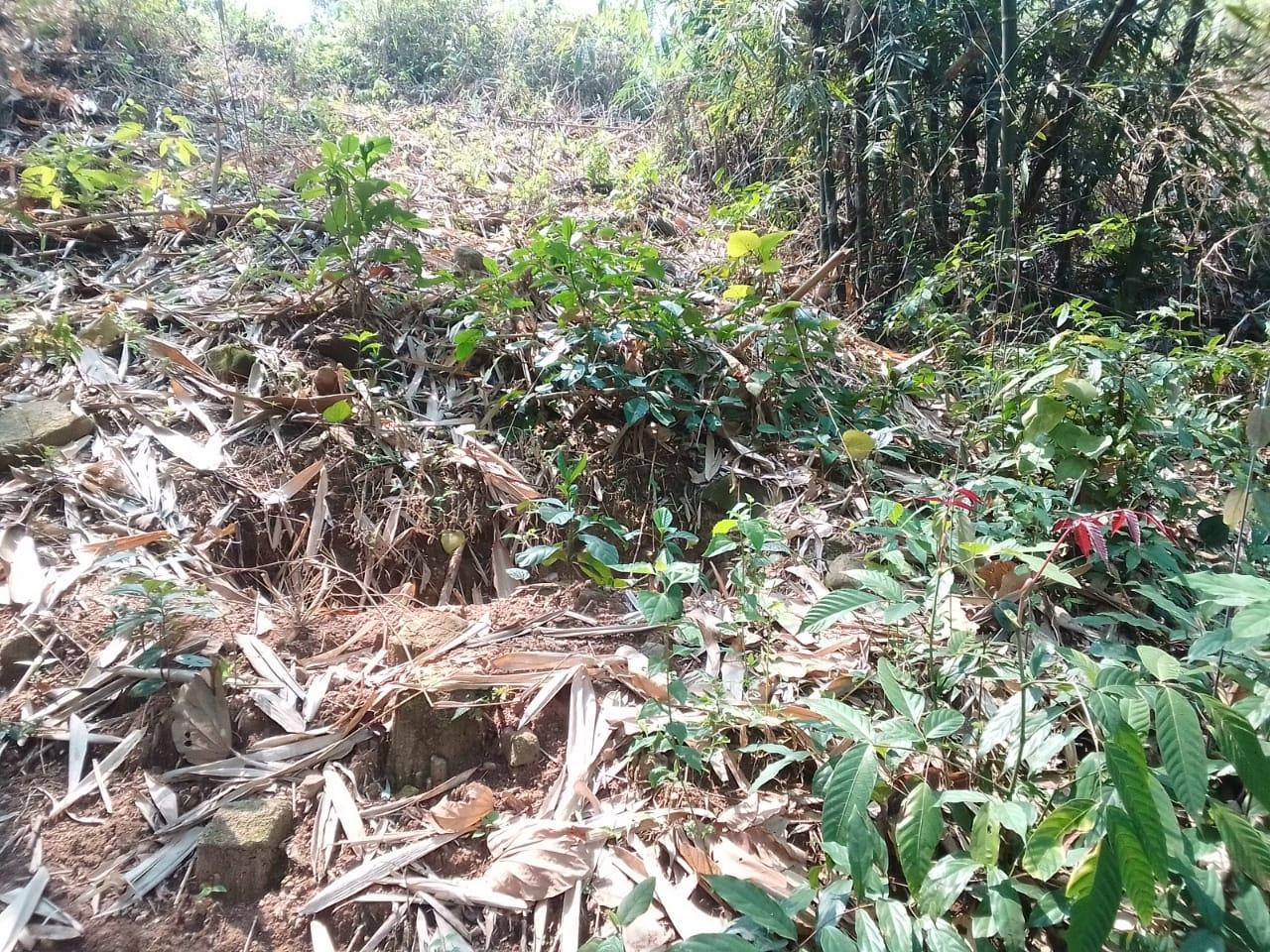 C:\Users\Nitro5\Downloads\WhatsApp Image 2023-03-31 at 13.30.22.jpeg